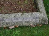 image of grave number 614497